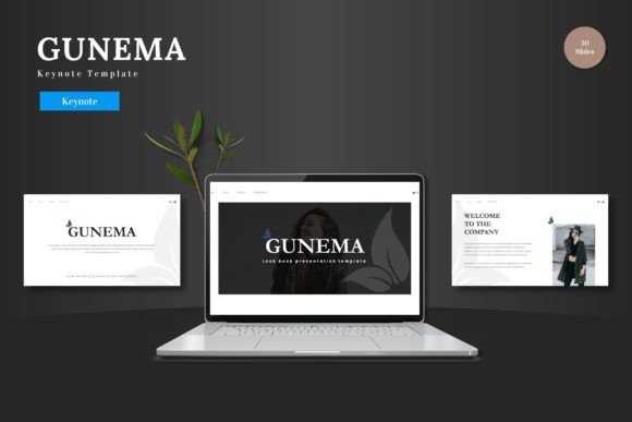 Gunema - Keynote Template: A Versatile Design Asset